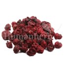 원흥경희한의원 이미지