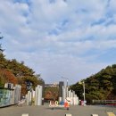 철원고구마 | 한탄강 철원주상절리길 강원도 여행