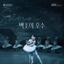 강릉아트센터 사임당홀 (대공연장) 네이버블로그