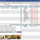 대현유화 이미지