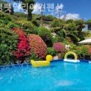 처음처럼 애견펜션 이미지