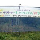 나무이야기민박 이미지