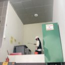 도화 다우림 이미지