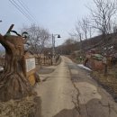 DMZ 평화의 길 3-1코스(우회로) 이미지