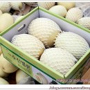 채원농장 이미지