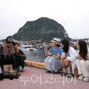 코in제주 이미지