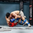 공도 주짓수 이미지