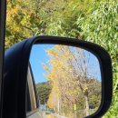 라라북천 이미지