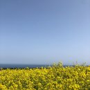 예술소공원 이미지