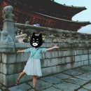 삼보세탁소 | #미미한복 / 생활한복 / 경복궁 야간개장 / 크리미디디 생활한복 후기 (feat. D양)