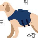 다올동물병원 이미지