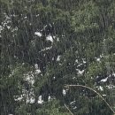 산내면 중황마을 이미지