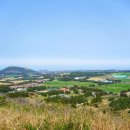 상산목장 이미지