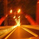 다윗농장 이미지