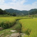 잼버리어린이집 이미지