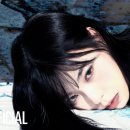 머레이크랩