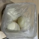 강남지역자활센터청년카페 | 청년잡성장카페 서면 두드림센터 중국어 기초 최세희 강사님 수업 후기