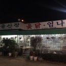 시골옻닭 이미지