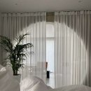 베지아웃 이미지