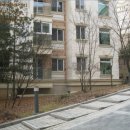 분당-259 이미지