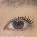 수원-1645 이미지