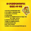 타로 실전리딩반 이미지