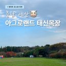 천원목장 | 예산 태신목장 가는길 입장료 예약 낙농체험