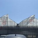 동민농장(1) 이미지