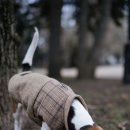 리더스 동물병원 이미지