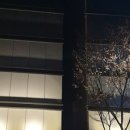 호텔야자 수진역점 이미지