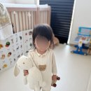 해피월드II | 아부다비 일상 | KOSTCON 2025 Dubai, Flaky Pastry Croissant, 워너브라더스 아기랑