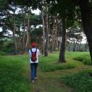 우화정(조응식가옥)