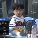 시율