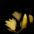 관모초교 이미지