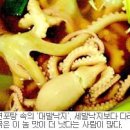 낙지방 이미지