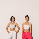 하밍핏