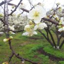 성실농원 이미지