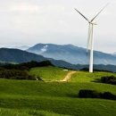 동양목장 이미지