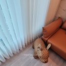 디자인유니 이미지