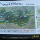 오토타운 이미지