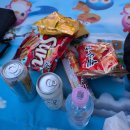 코리아세븐-신갈2호점 | 뚝섬 드론라이트쇼 2회차 후기 및 3~5회차 잠실/뚝섬 명당 일정 총정리 2026 최신