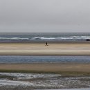 씨싸이드 이미지