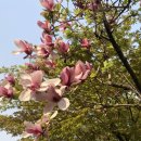 우리동내 이미지