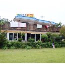 동강대자연 이미지