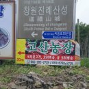 사파동374 | 사파동맛집 고산농장 / 가슴살마저 야들야들한 오리백숙으로 몸보신