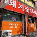 돼지꿈나라 이미지