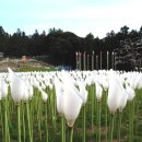 제주유리박물관 이미지