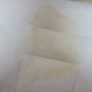 와니동물병원 이미지