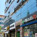 골든수 이미지