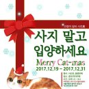 고양이 행복 쉼터 이미지